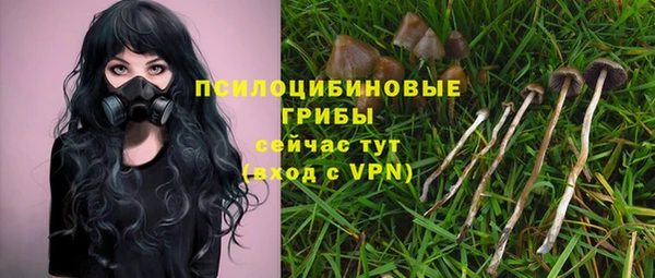 спиды Пролетарск