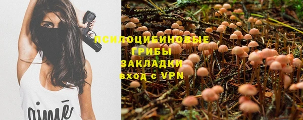 спиды Пролетарск