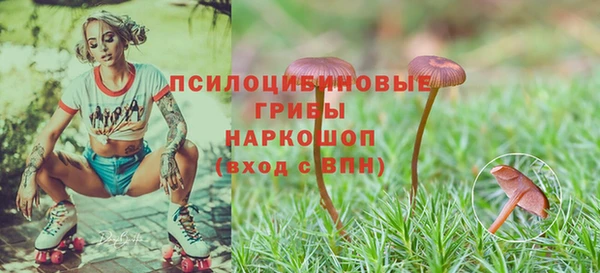 ECSTASY Протвино