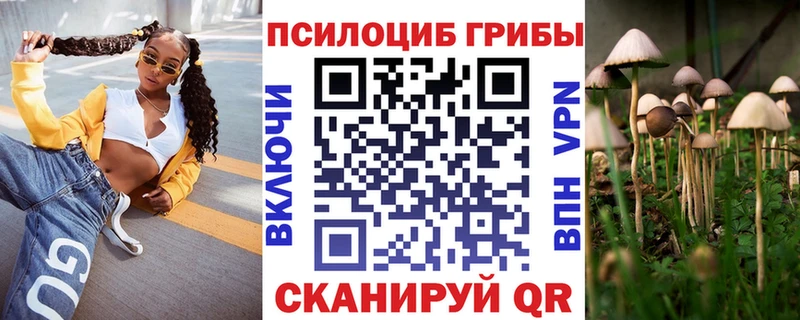 Купить где  Алупка  Псилоцибиновые грибы GOLDEN TEACHER 